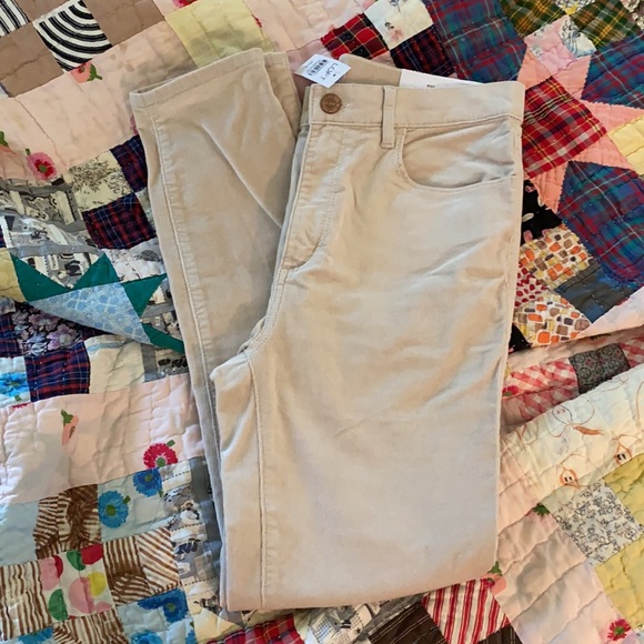 High rise skinny cords from the Loft, size tall. - Picture 4 of 5